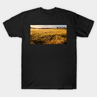 Late Sunshine on the Harvest T-Shirt